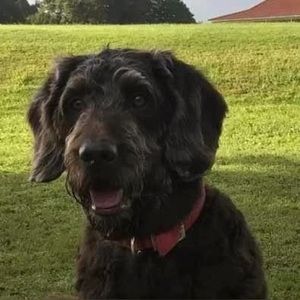 Meet your Posher, Blanche